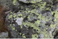 free photo texture of rock mossy